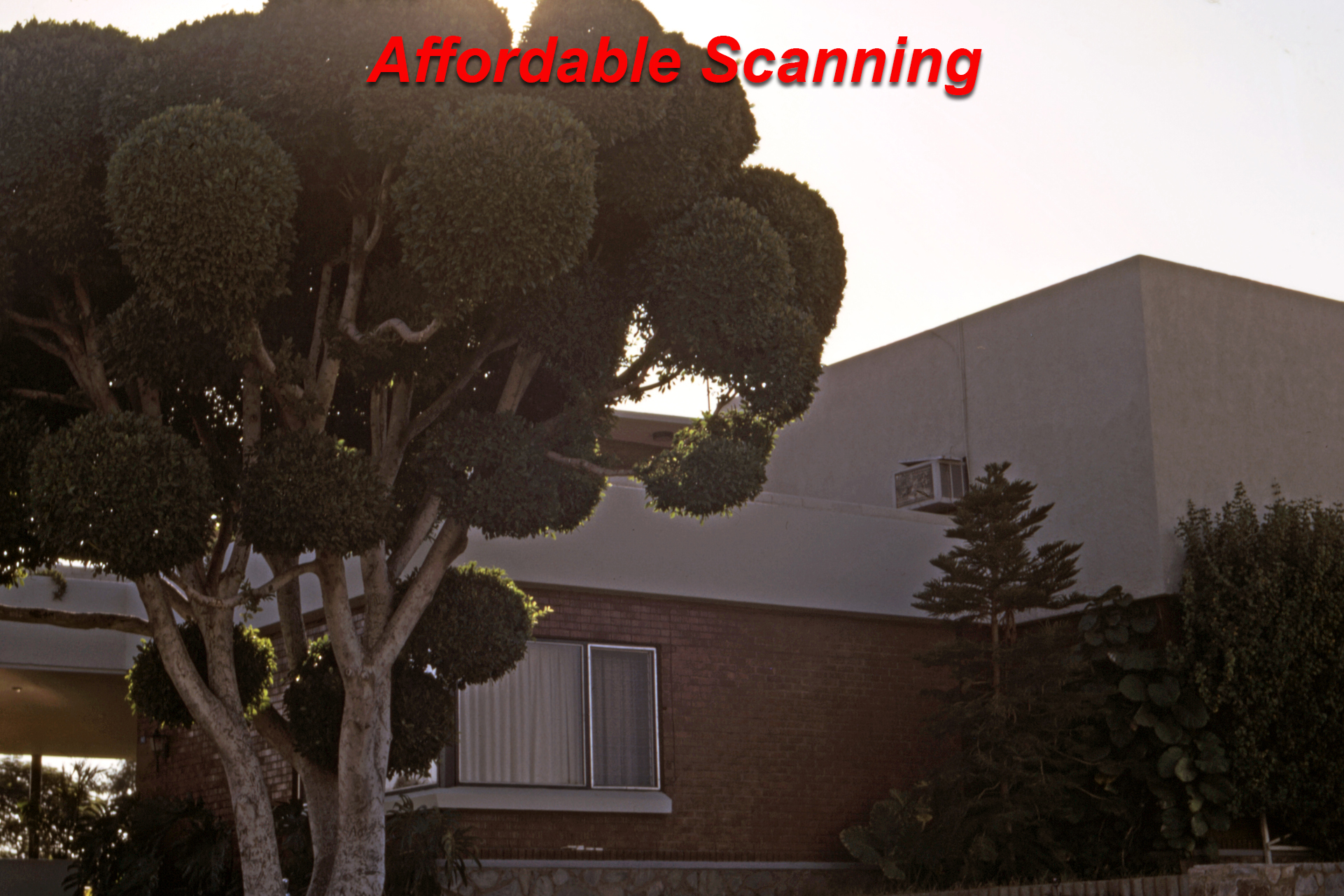 Affordable Scannings scan of ball tree House slide